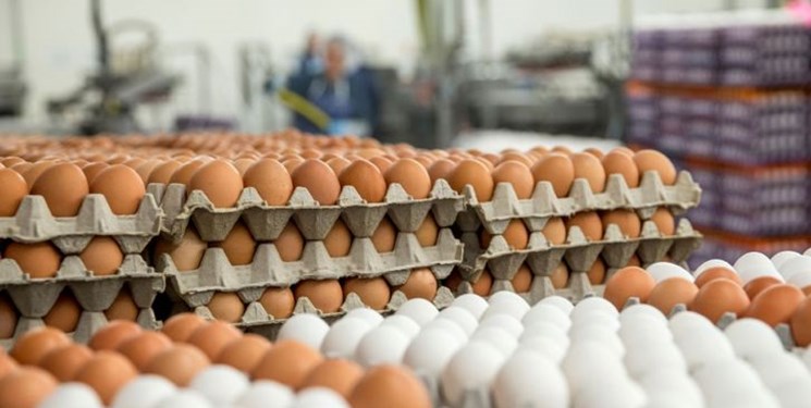 کشف بیش از ۳ تن تخم‌ مرغ بدون مجوز در بجنورد